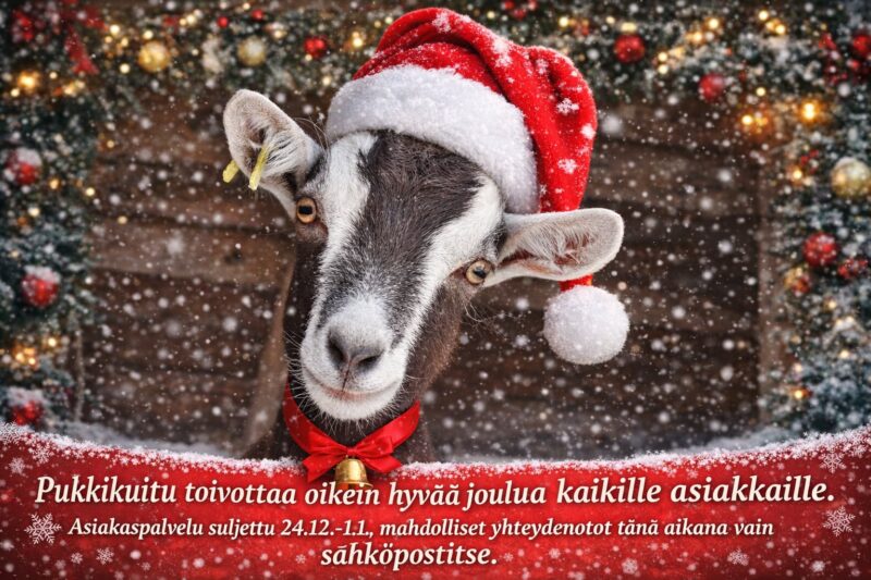 Hyvää joulua!